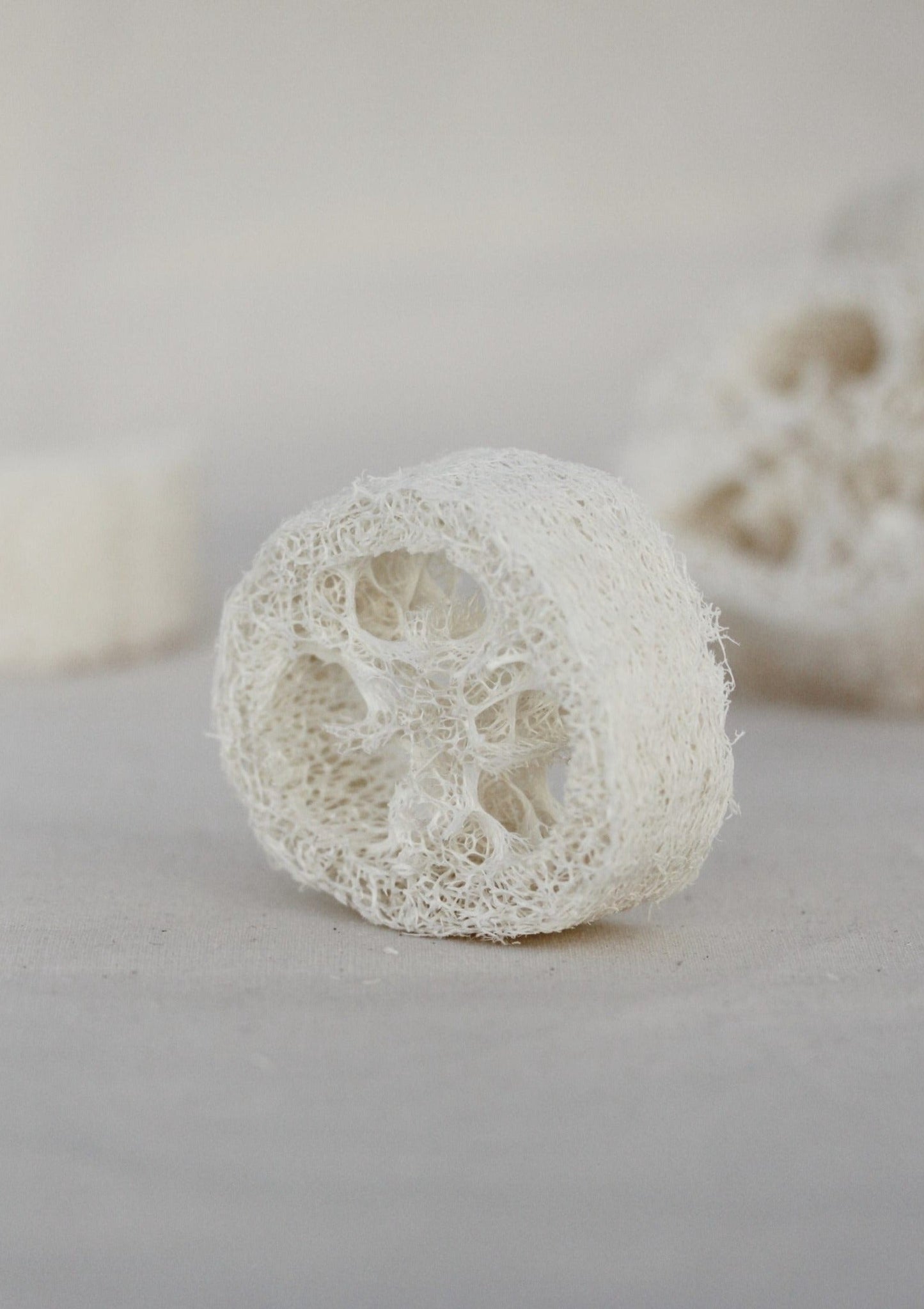 loofah - s'exfolier naturellement, alternative naturelle
