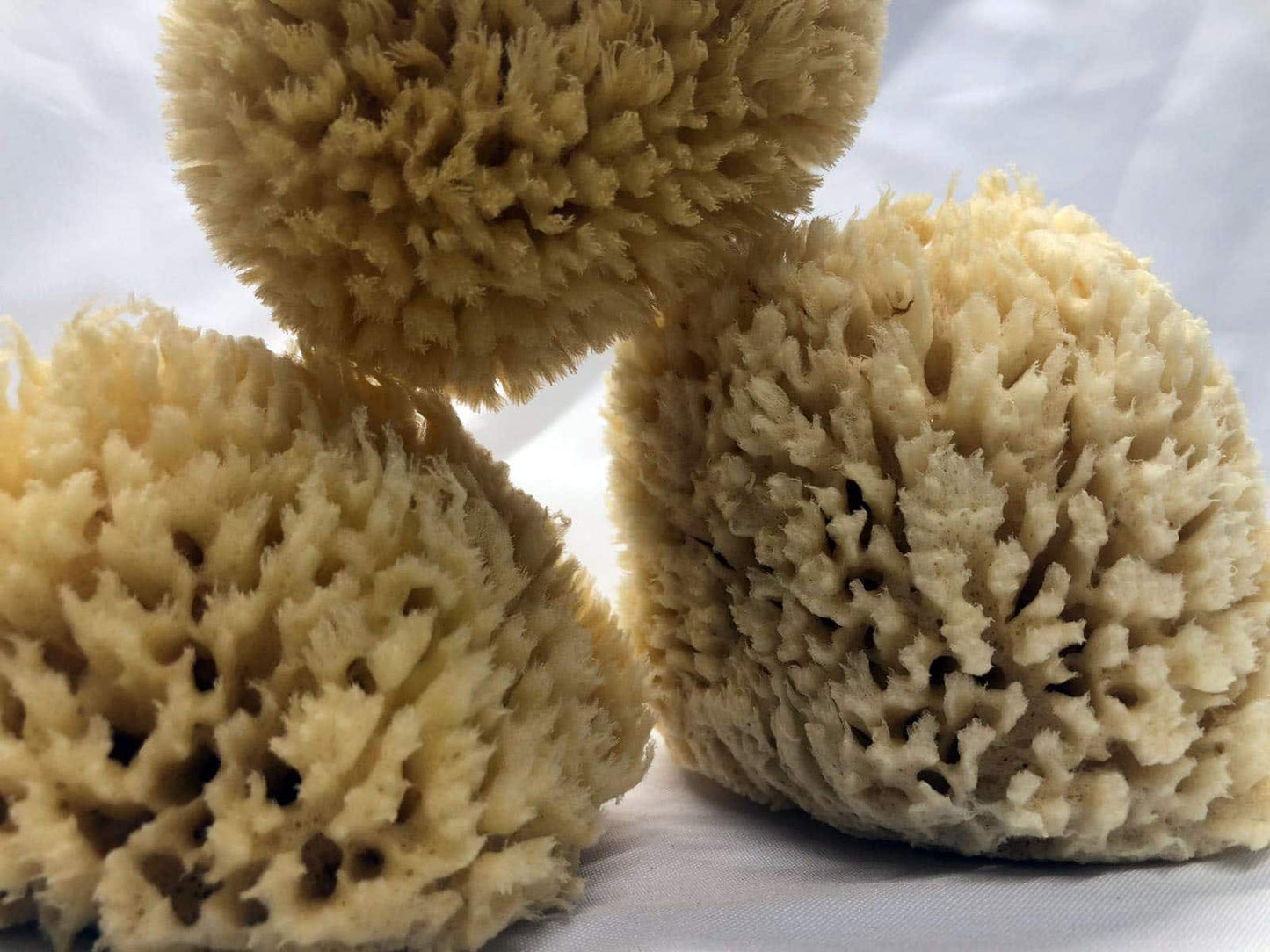 Éponge de mer Bio grande : une alternative écologique et naturelle pour votre routine de nettoyage
