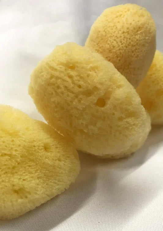 Éponge de Mer Naturelle : L'Alternative Écologique