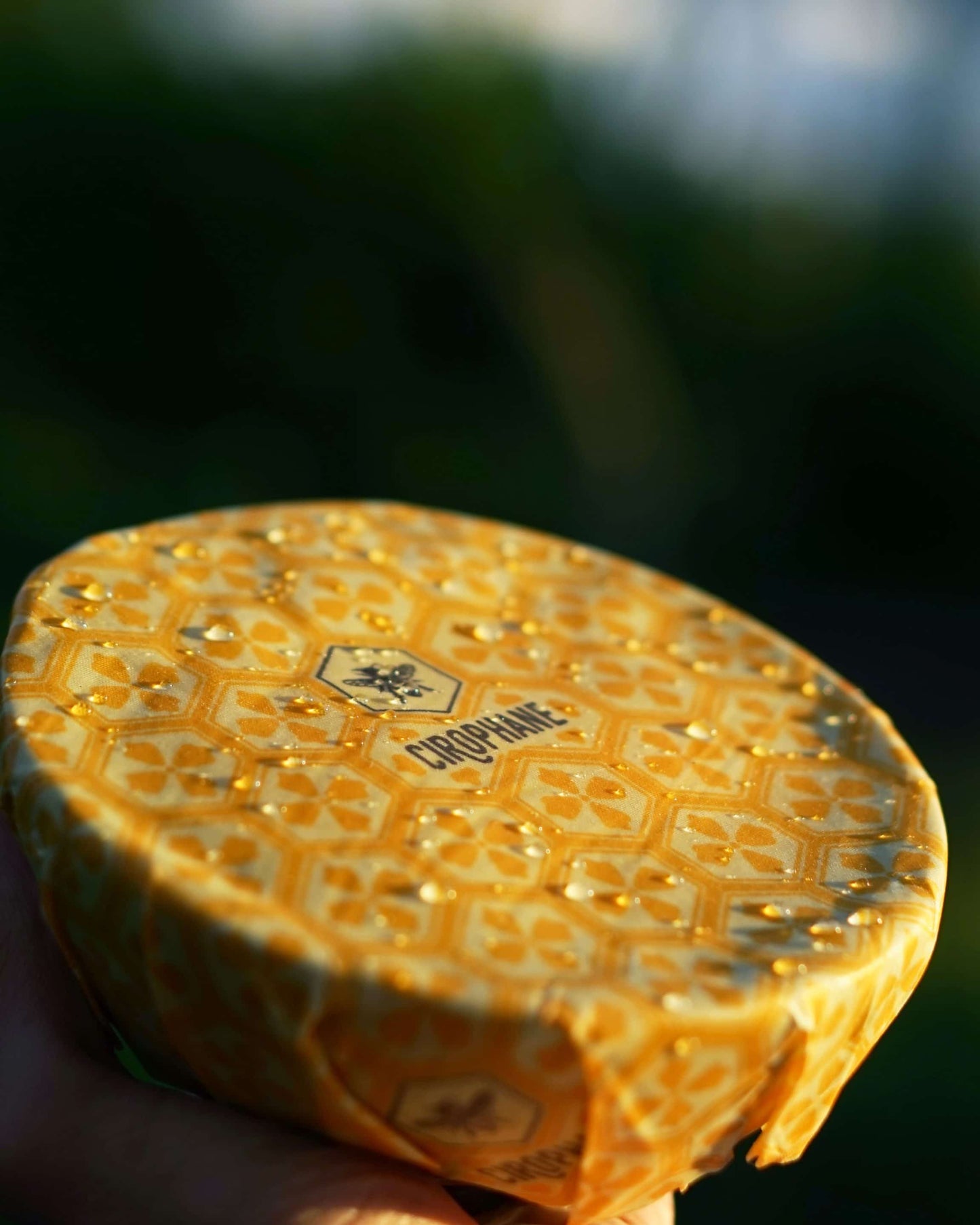 Beewrap écologique : une alternative zéro déchet pour protéger vos aliments de manière durable